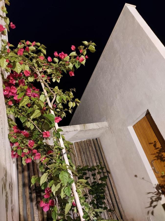 Willa Statera Host Alto Paraíso de Goiás Zewnętrze zdjęcie